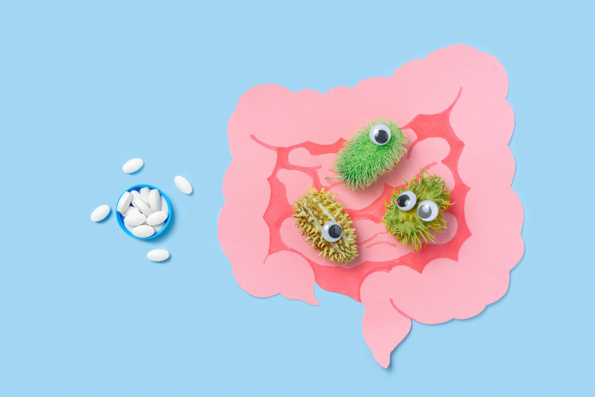 gut-health-concept-with-medicine-and-cute-germs-2026-03-17-07-21-03-utc (1)