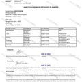 Benfotiamine