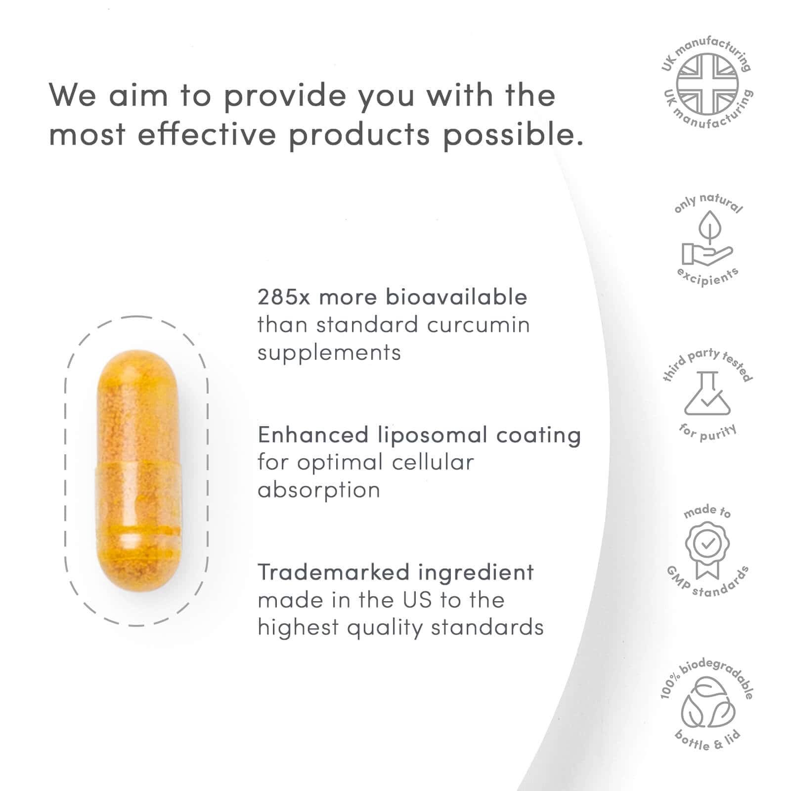 Longvida® Curcumin
