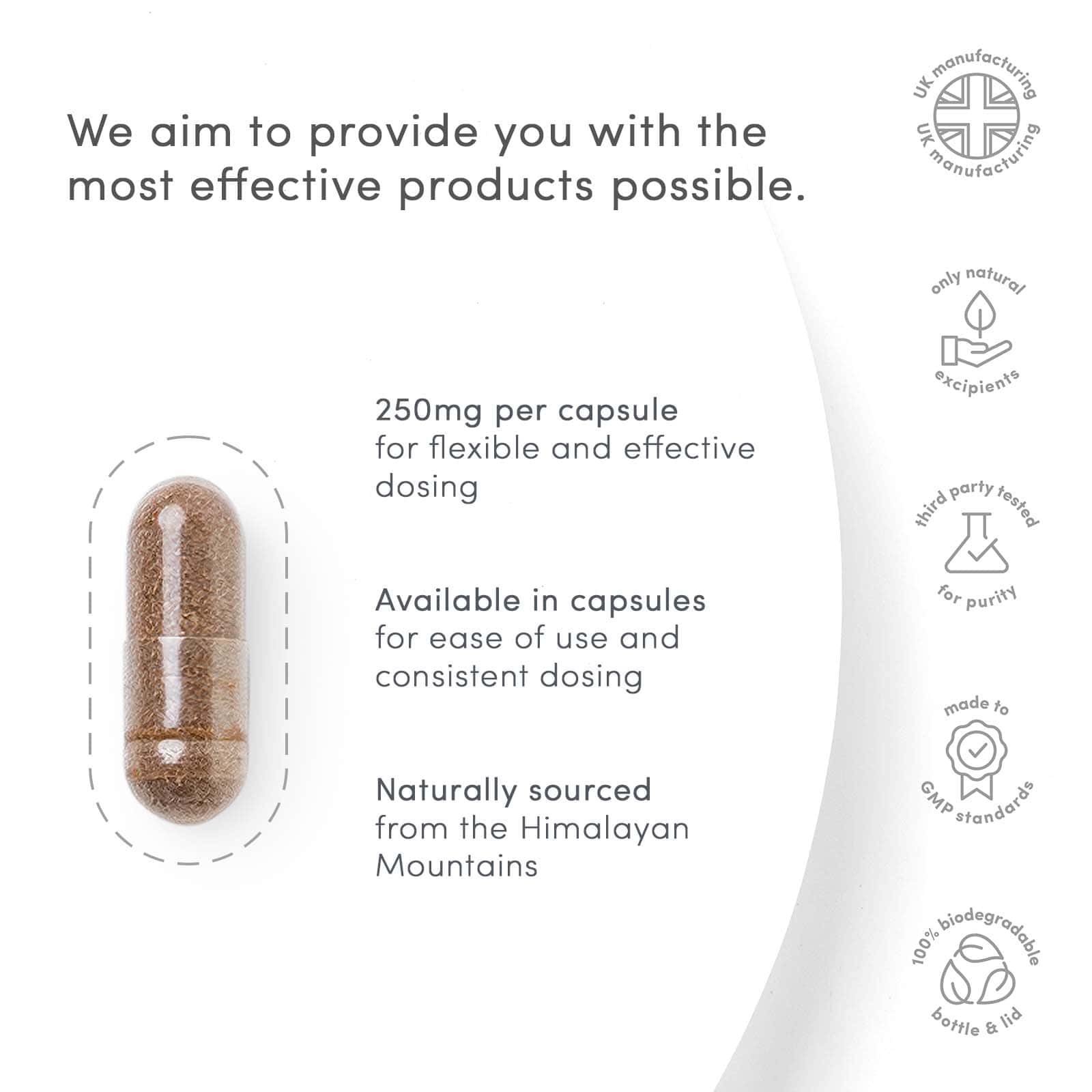 Shilajit