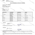 Zinc L-Carnosine